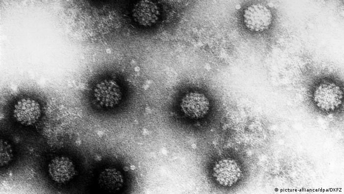 Brasil passa a adotar esquema de dose única contra o HPV; entenda - 