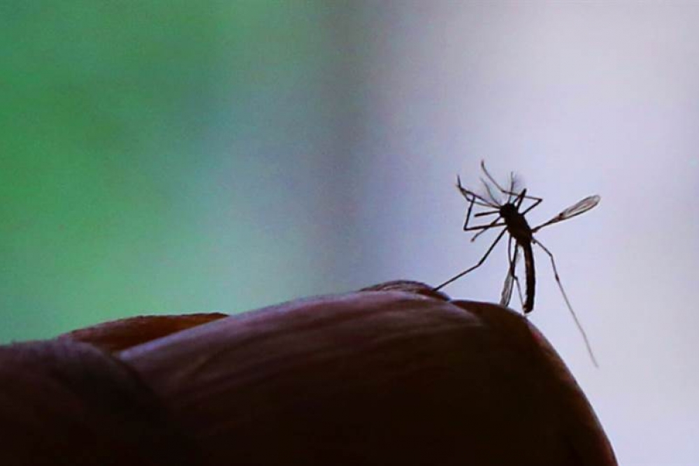Olímpia registra terceira morte por dengue  - 