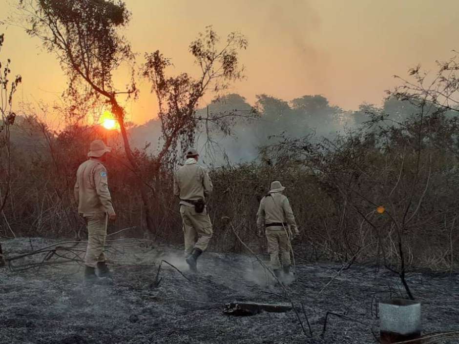 Governo de MS decreta situação de emergência em 5 cidades após incêndios no Pantanal - 